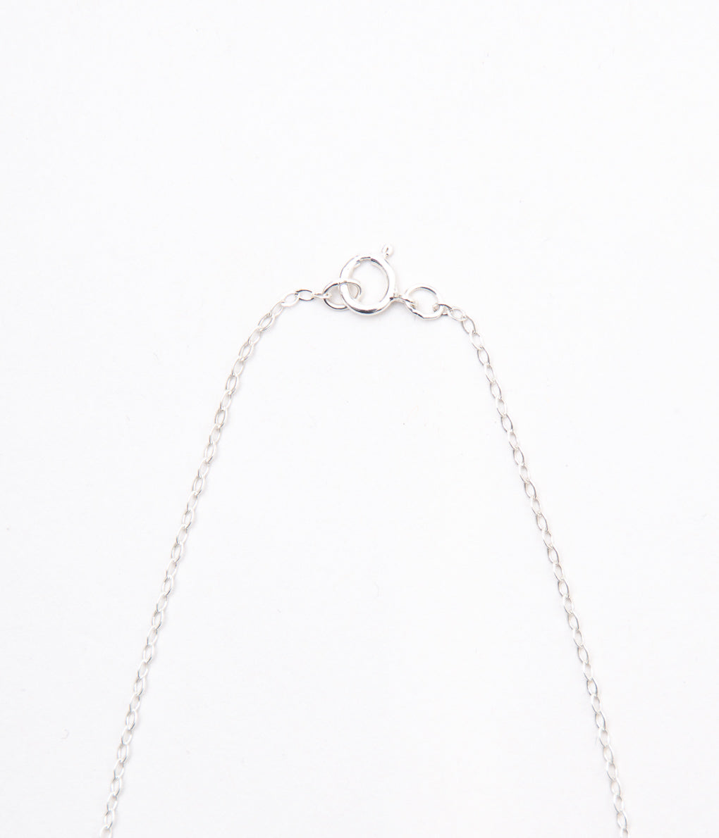 DINEH "METAL NAAYIZI TURQUOISE NECKLACE"(SILVER & TURQUOISE)