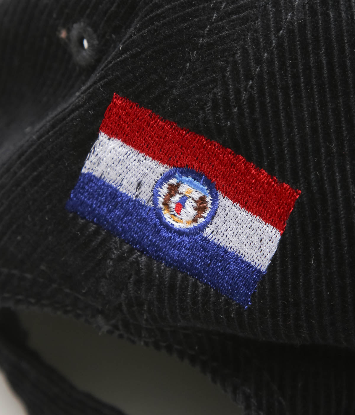 BLUESCENTRIC ''FLYING VINYL CORDUROYCAP'' (BLACK)