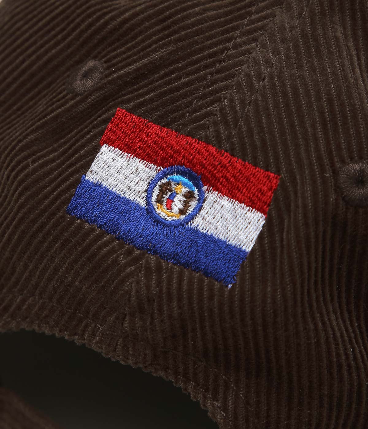 BLUESCENTRIC ''FLYING VINYL CORDUROYCAP'' (BROWN)