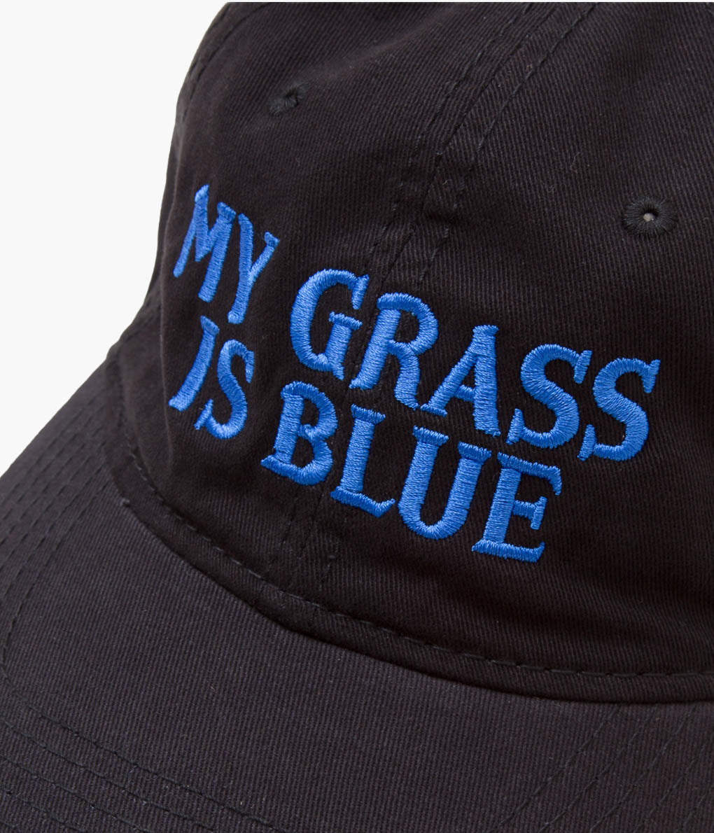 BLUESCENTRIC ''MY GRASS IS BLUE HAT''(BLACK)