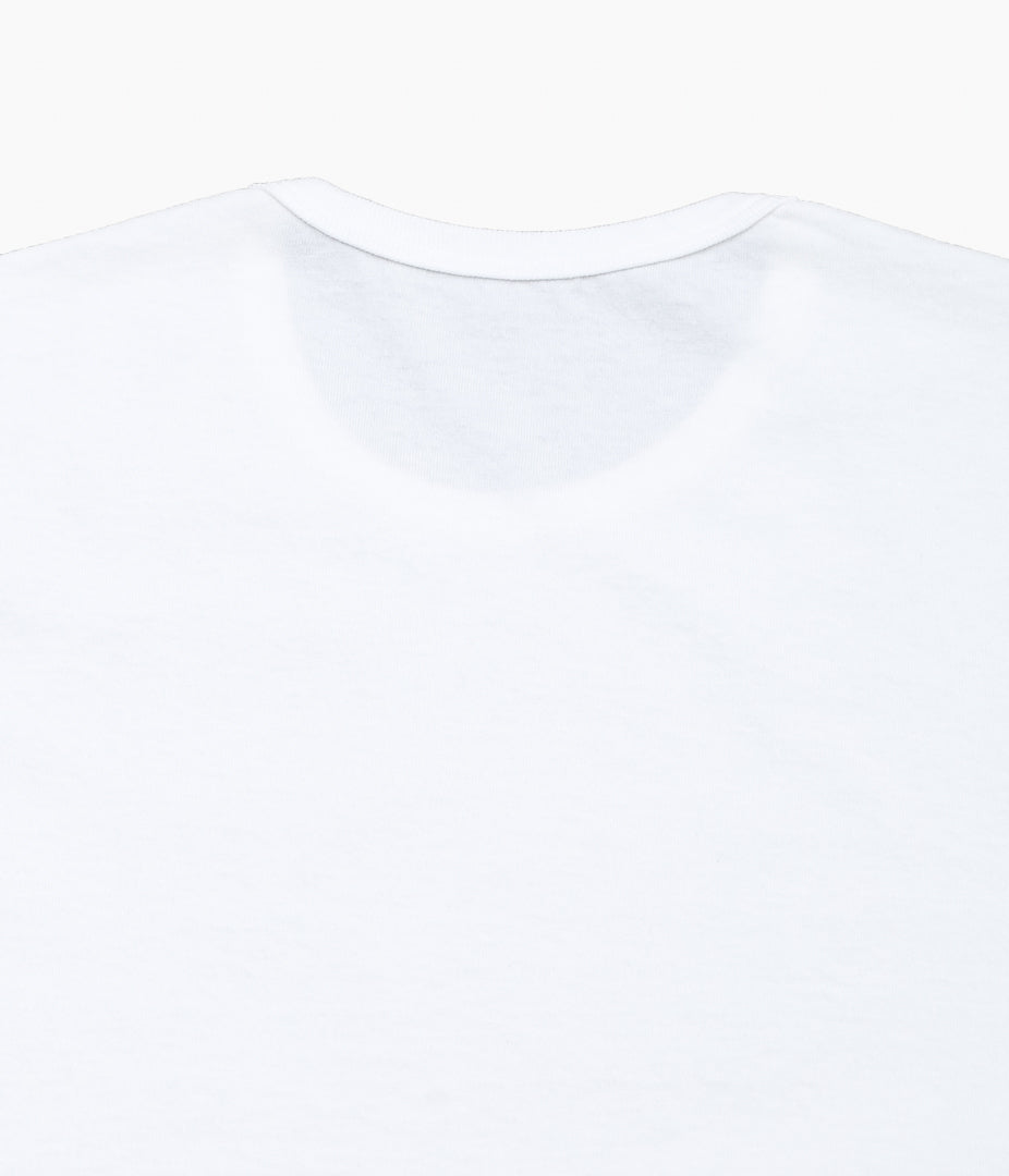 LADY WHITE CO. ``TUBULAR 2-PACK'' (WHITE)