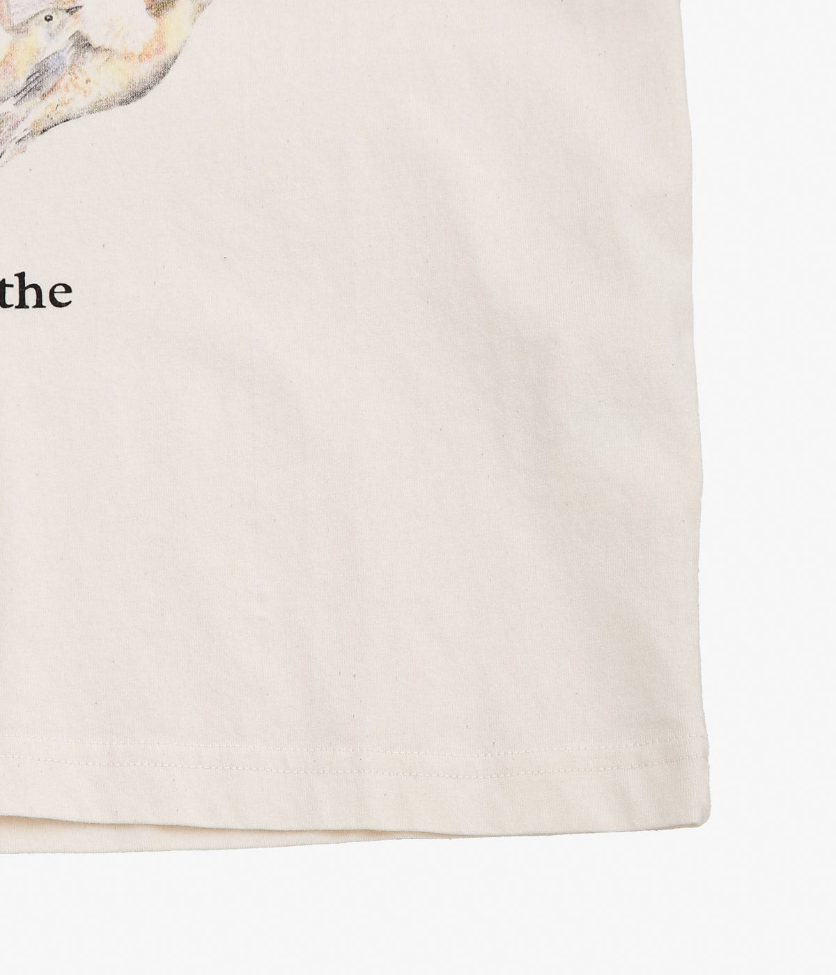 STORY MFG ''GRATEFUL TEE SS'' (FEATHERED FRIENDS)