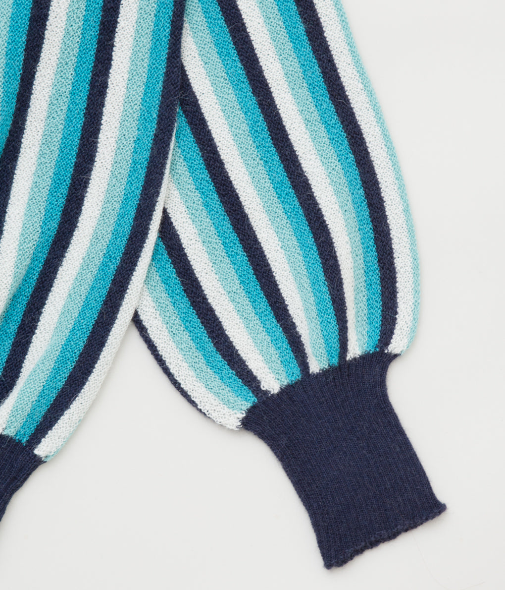FANNI LEMMERMAYER "ALLOVER STRIPE MENS CARDIGAN 4COL"(NAVY MULTI)