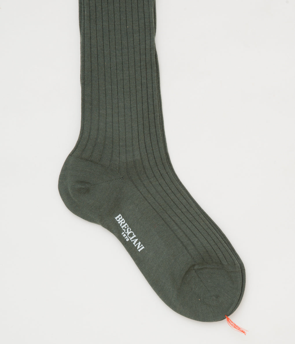 BRESCIANI "RIB SOLID LONG HOSE"(FOREST GREEN)