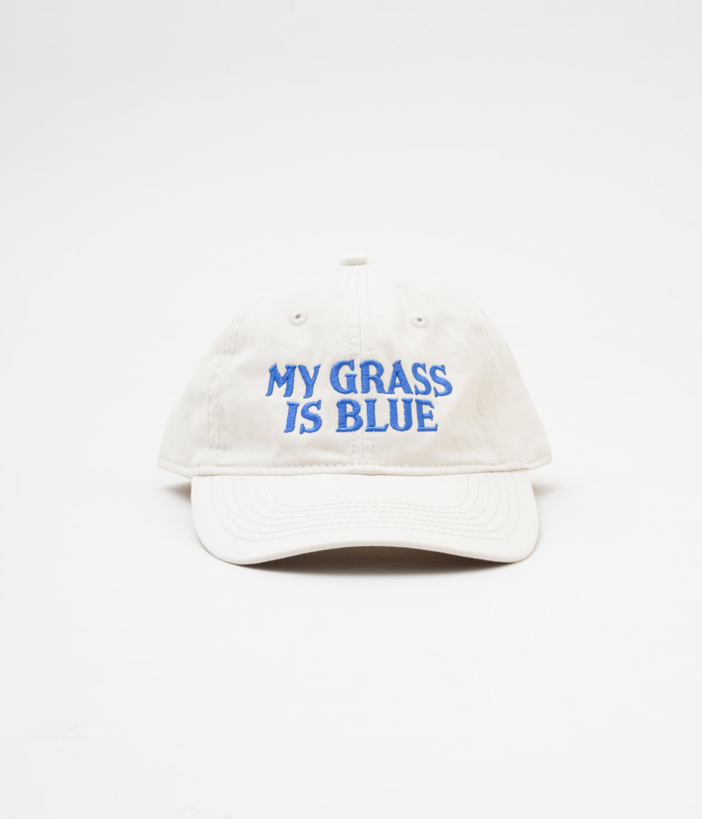 BLUESCENTRIC "MY GRASS IS BLUE HAT" (STONE WASH)
