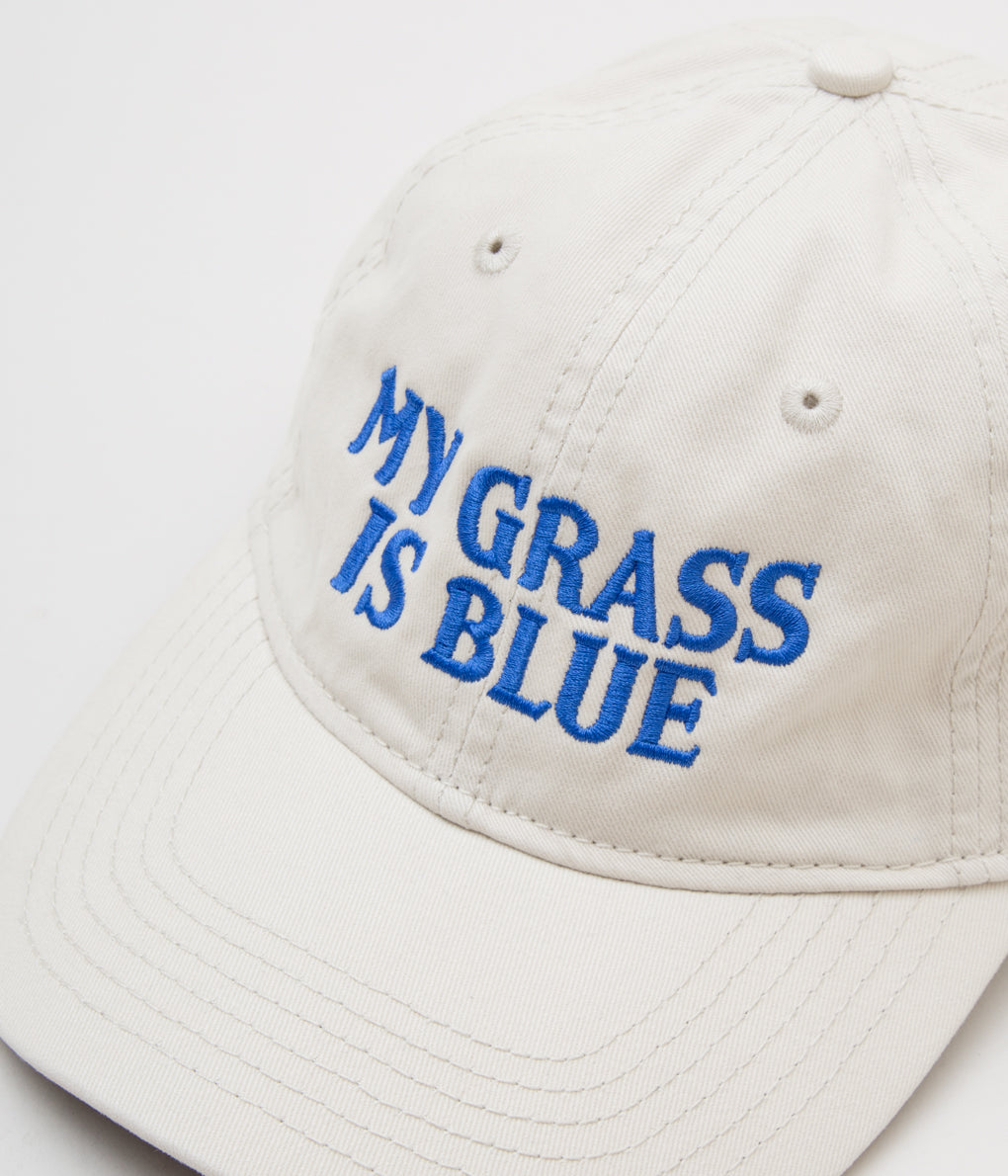 BLUESCENTRIC "MY GRASS IS BLUE HAT" (STONE WASH)