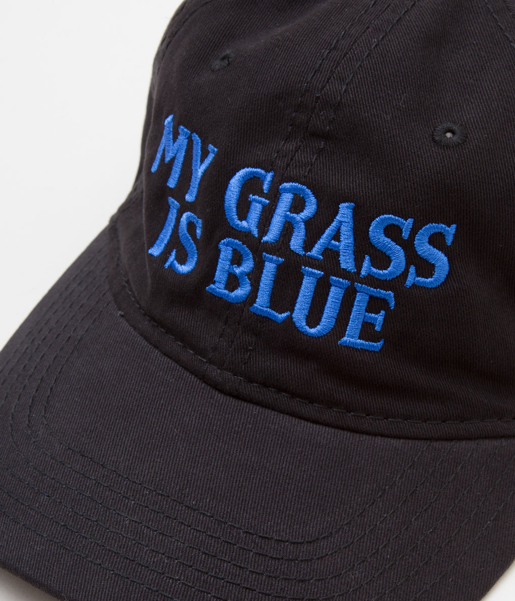 BLUESCENTRIC "MY GRASS IS BLUE CAP"(BLACK)
