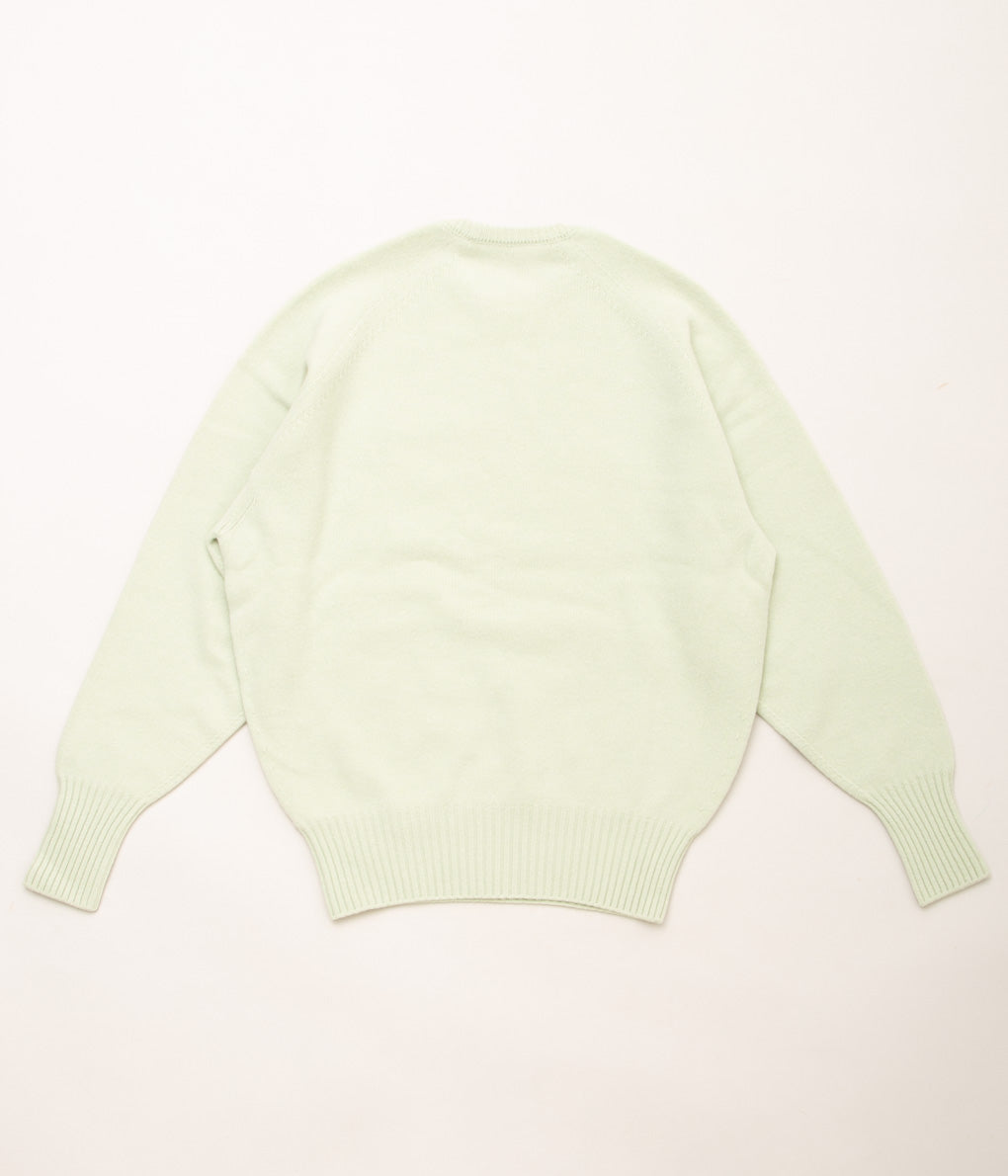 POSTELEGANT FINE WOOL PULL-OVER KNIT (PALE GREEN)