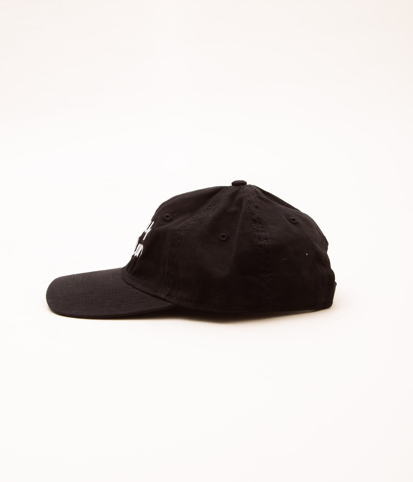BLUESCENTRIC "WHINEY HOUSTON CAP"(BLACK)