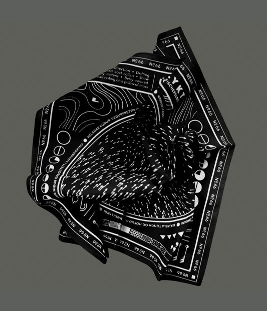 FISCHERSUND ``UTILYKY SCARF'' (BLACK)