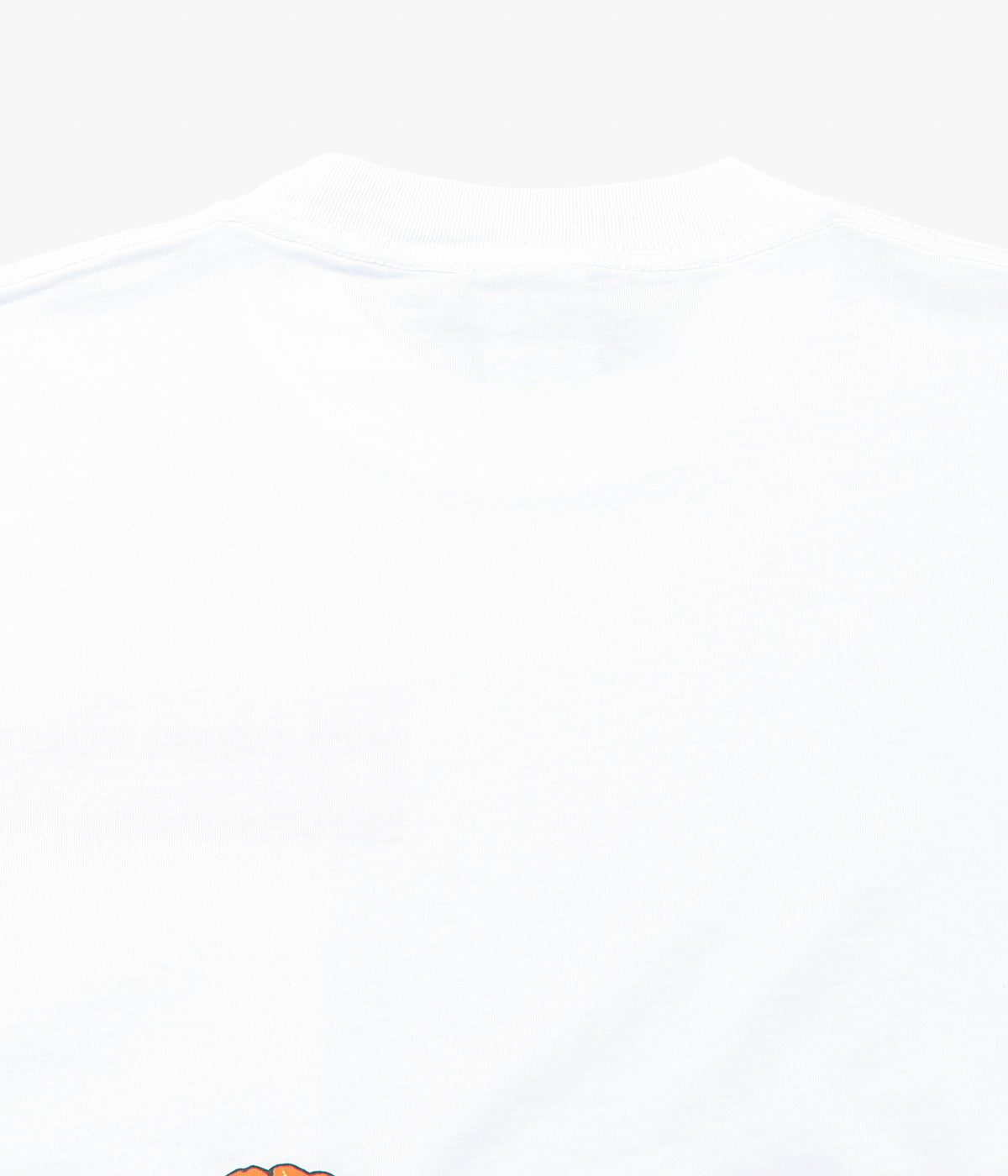 BIG ROCK CANDY MOUNTAINEERING "VALLEY FLOOR LONG SLEEVE TEE" (MILK)
