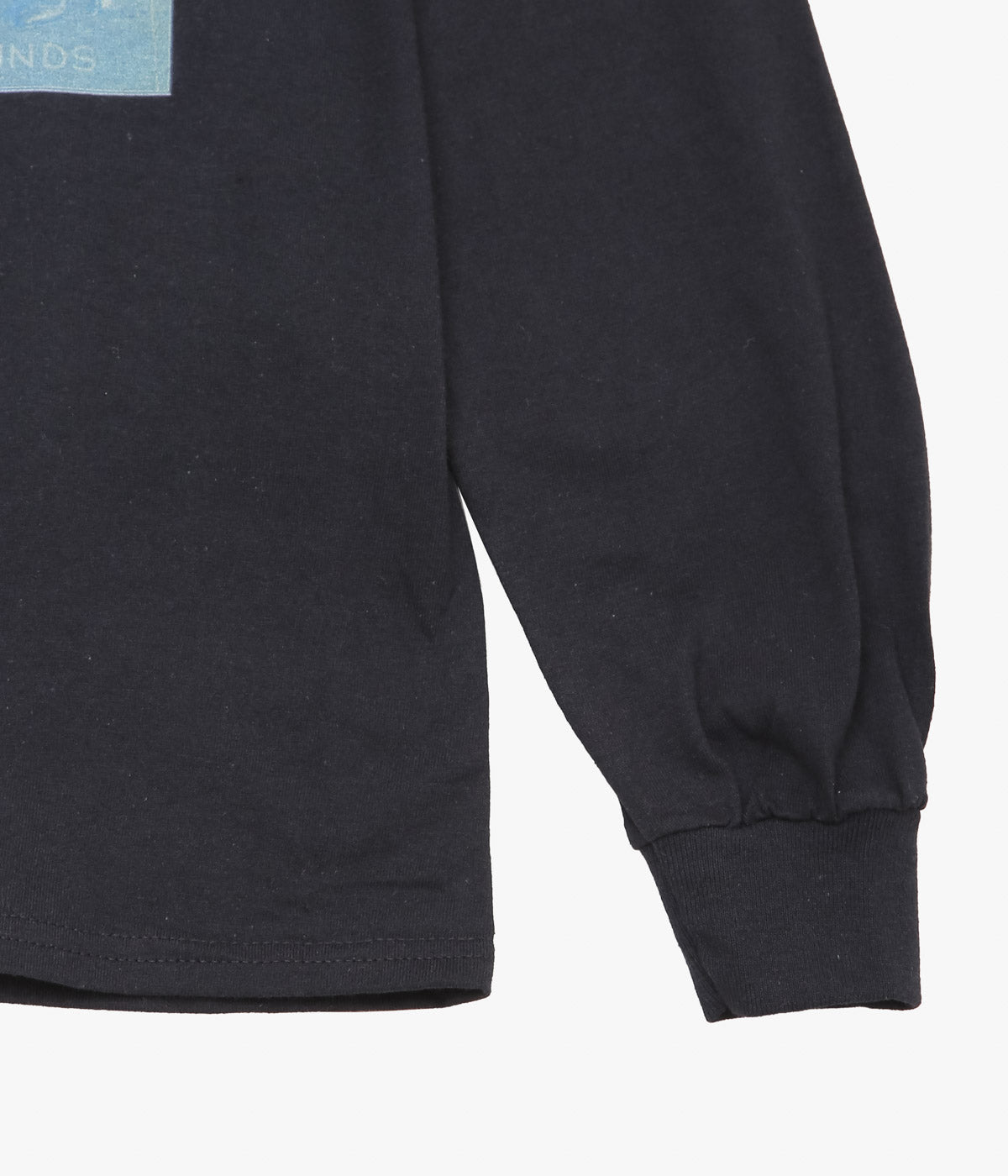 BLUESCENTRIC ''CRAZY BLUES L/S TEE HEAVY'' (BLACK)