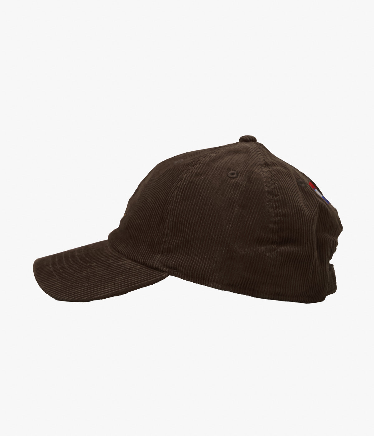 BLUESCENTRIC ''FLYING VINYL CORDUROYCAP'' (BROWN)