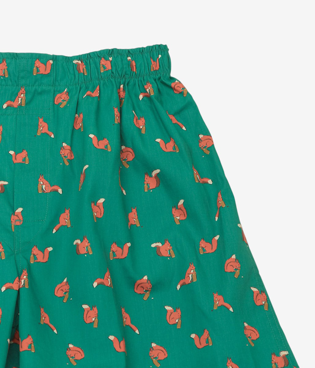 BROOKS BROTHERS ''BOXER SHORTS BLOADCLOTH'' (GREEN/SQUIRREL)