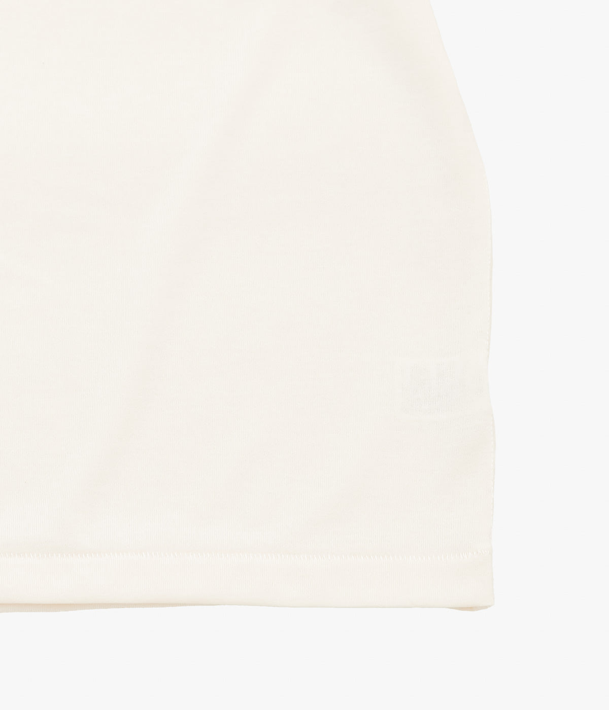 L.L. BEAN JAPAN EDITION ''DOVER FOXCROFT SHORT-SLEEVE TEE'' (PAINTED TURTLE)