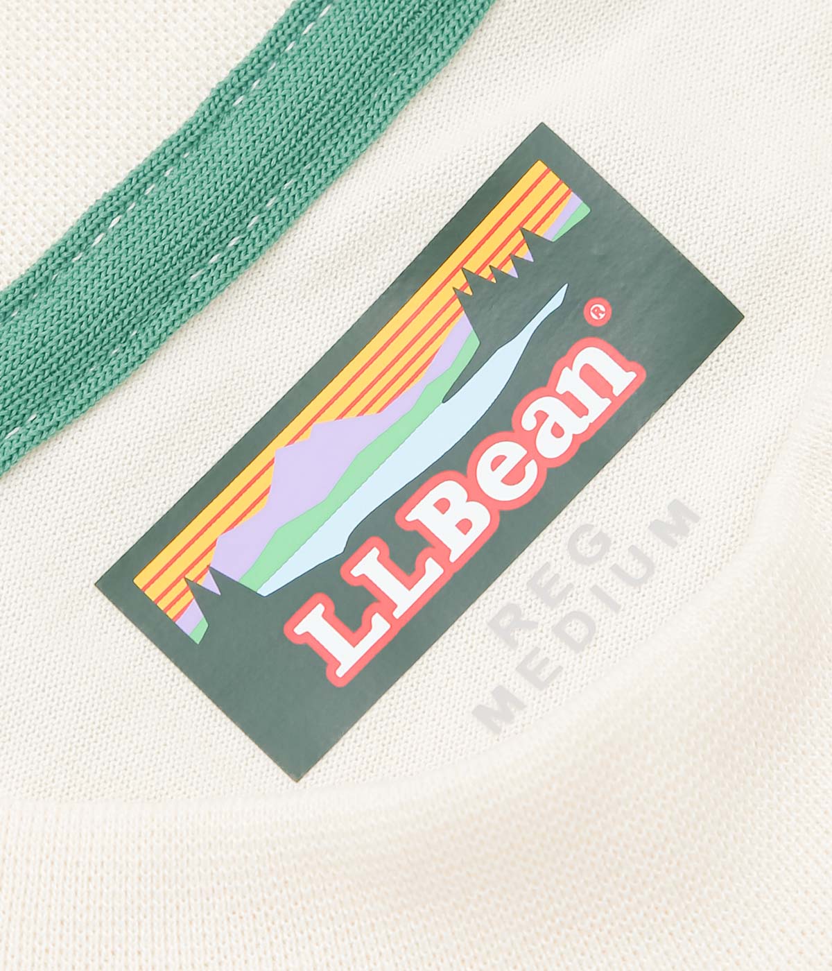 L.L. BEAN JAPAN EDITION ''DOVER FOXCROFT SHORT-SLEEVE TEE'' (PAINTED TURTLE)