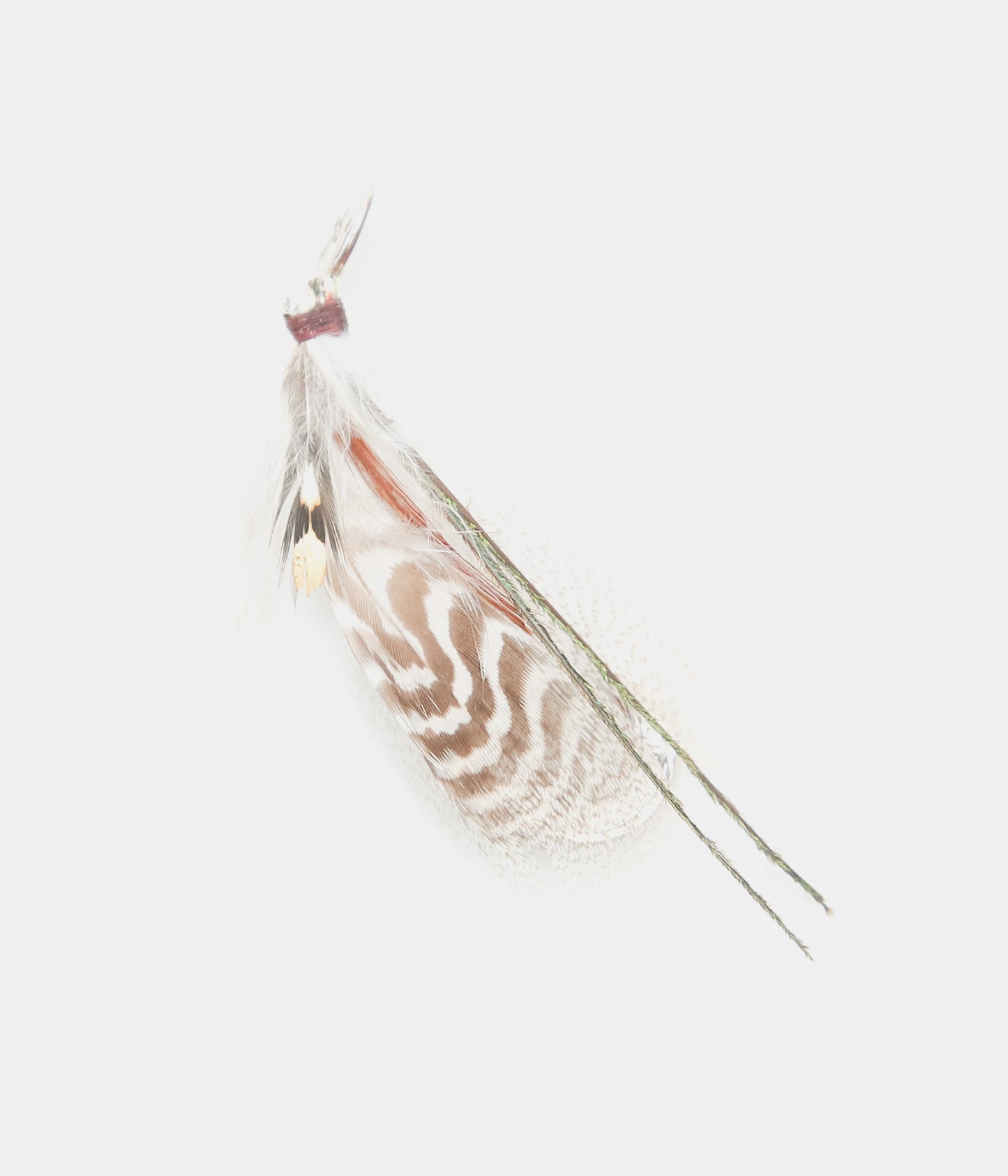 OTA ''FLY BROOCH1'' (1)