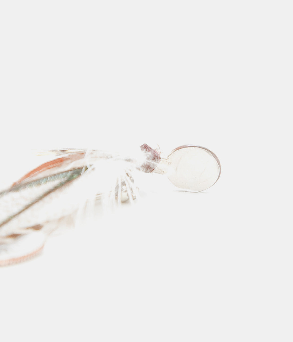 OTA ''FLY BROOCH1'' (1)