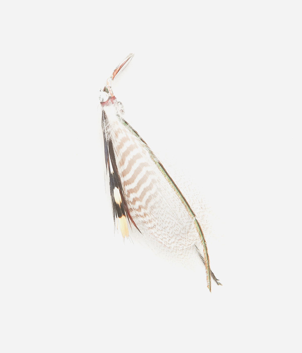 OTA ''FLY BROOCH2'' (2)