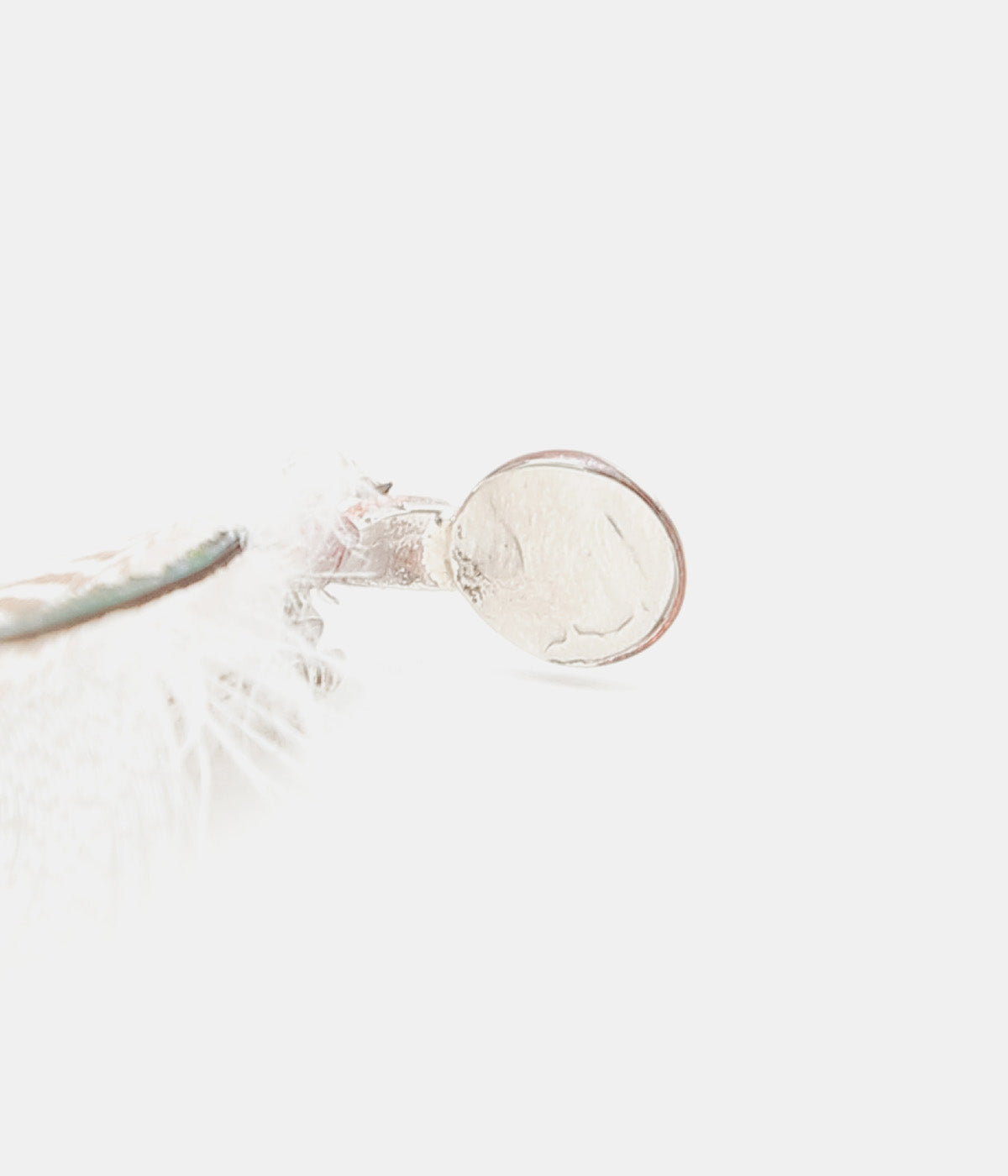 OTA ''FLY BROOCH2'' (2)