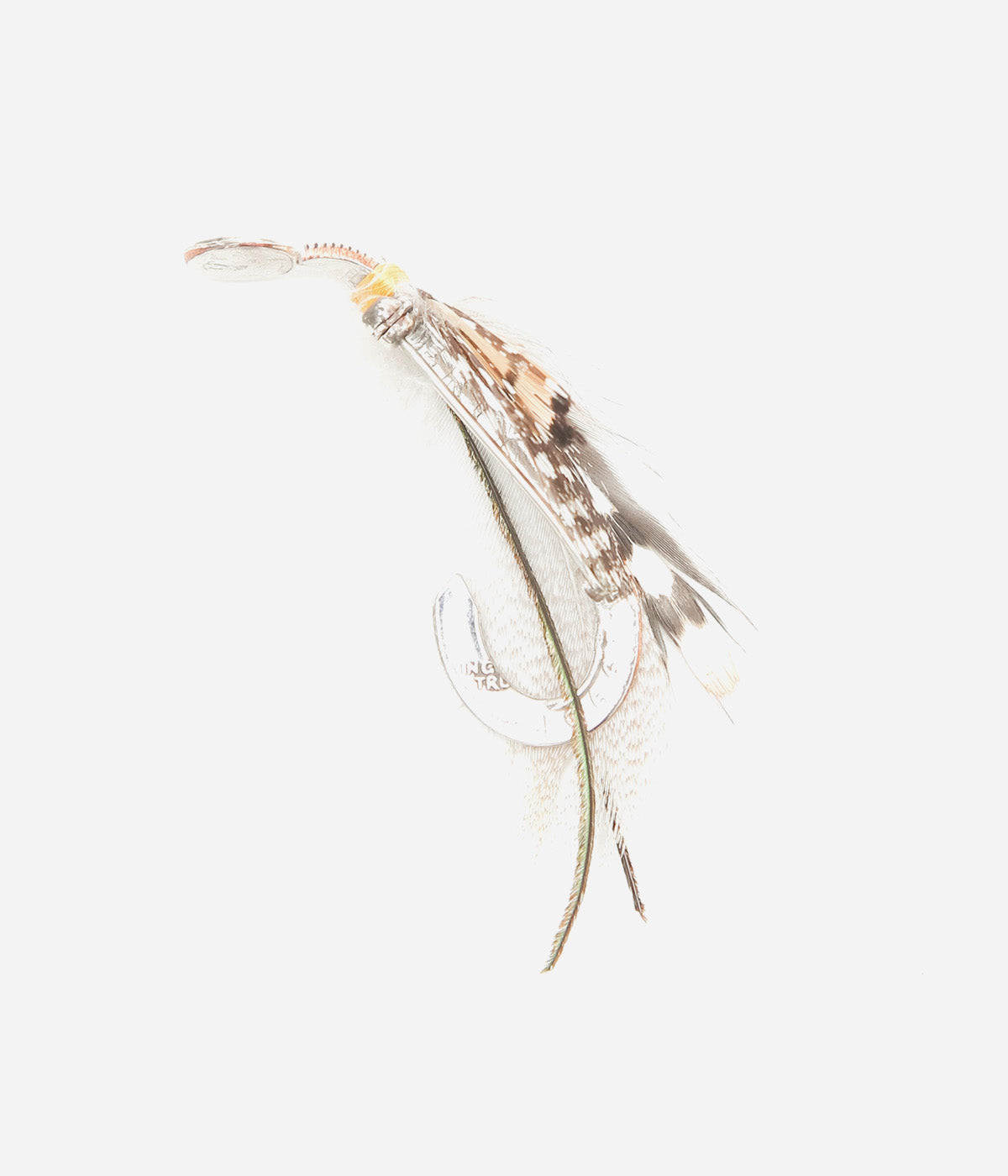 OTA ''FLY BROOCH3'' (3)