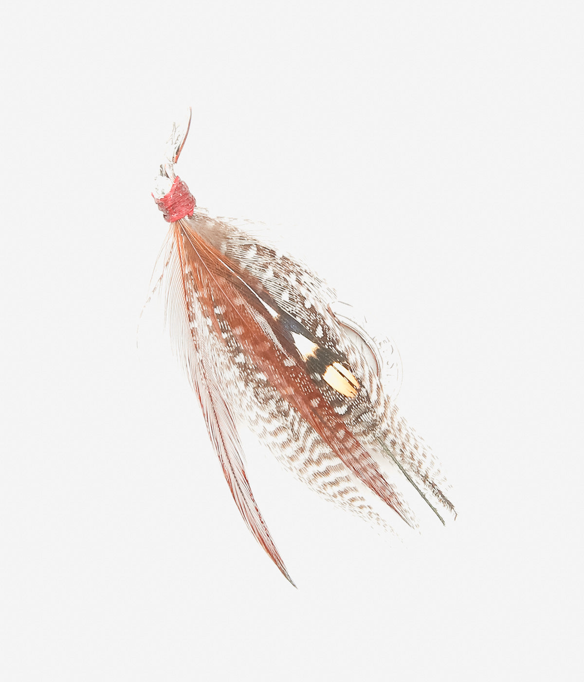 OTA ''FLY BROOCH5'' (5)