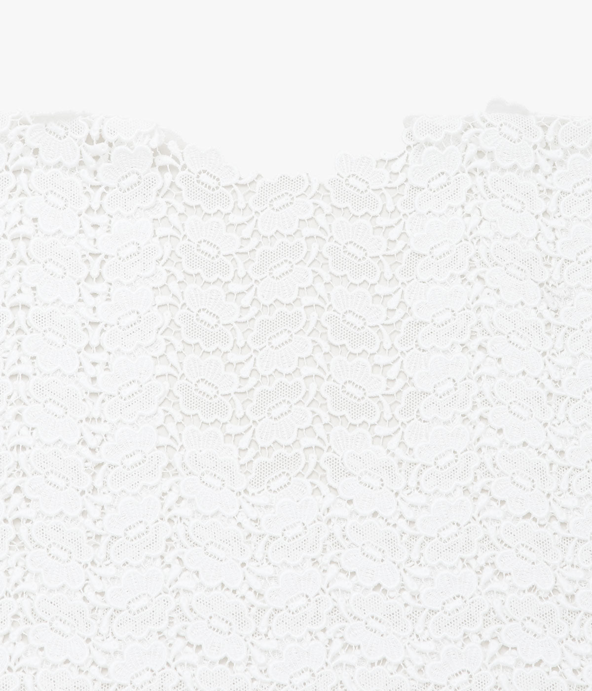 PAN ''BISCHOFF BUTTERFLY LACE S/S BLOUSE'' (WHITE)