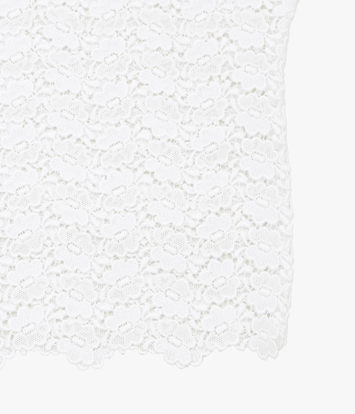 PAN ''BISCHOFF BUTTERFLY LACE S/S BLOUSE'' (WHITE)