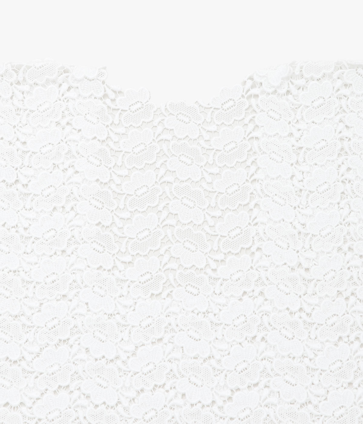 PAN ''BISCHOFF BUTTERFLY LACE S/S BLOUSE'' (WHITE)