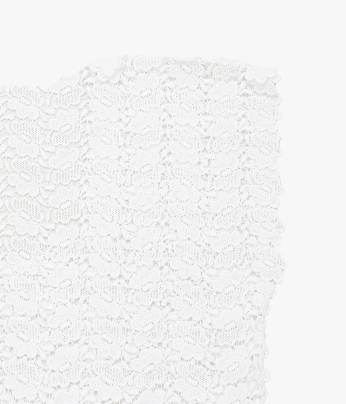 PAN ''BISCHOFF BUTTERFLY LACE S/S BLOUSE'' (WHITE)