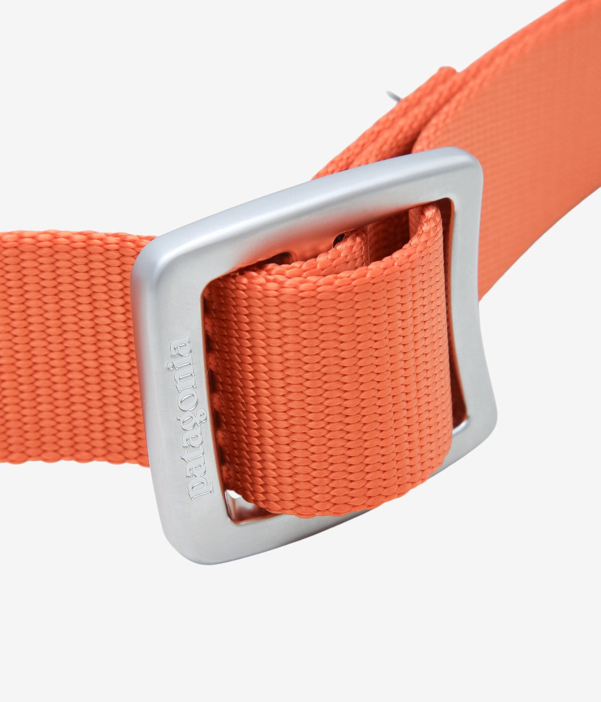 PATAGONIA ''TECH WEB BELT'' (CLOR)