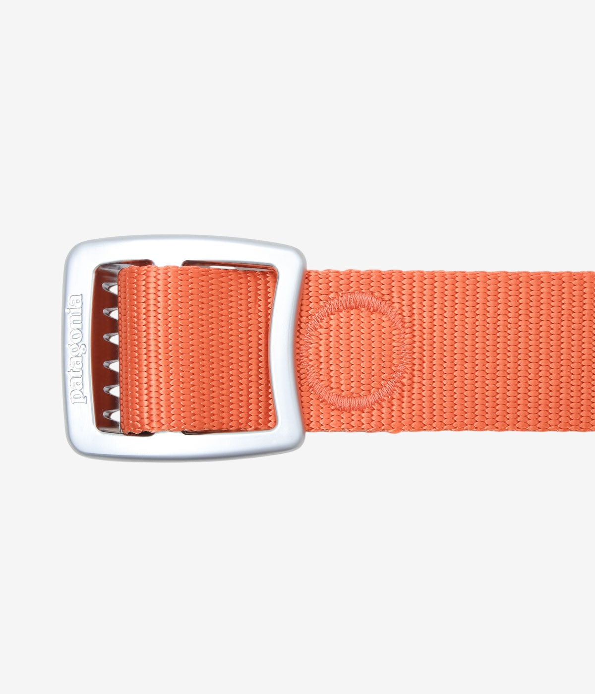 PATAGONIA ''TECH WEB BELT'' (CLOR)
