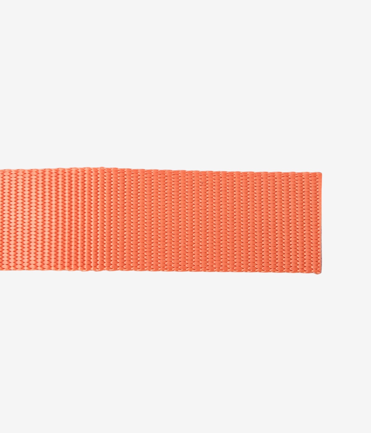 PATAGONIA ''TECH WEB BELT'' (CLOR)