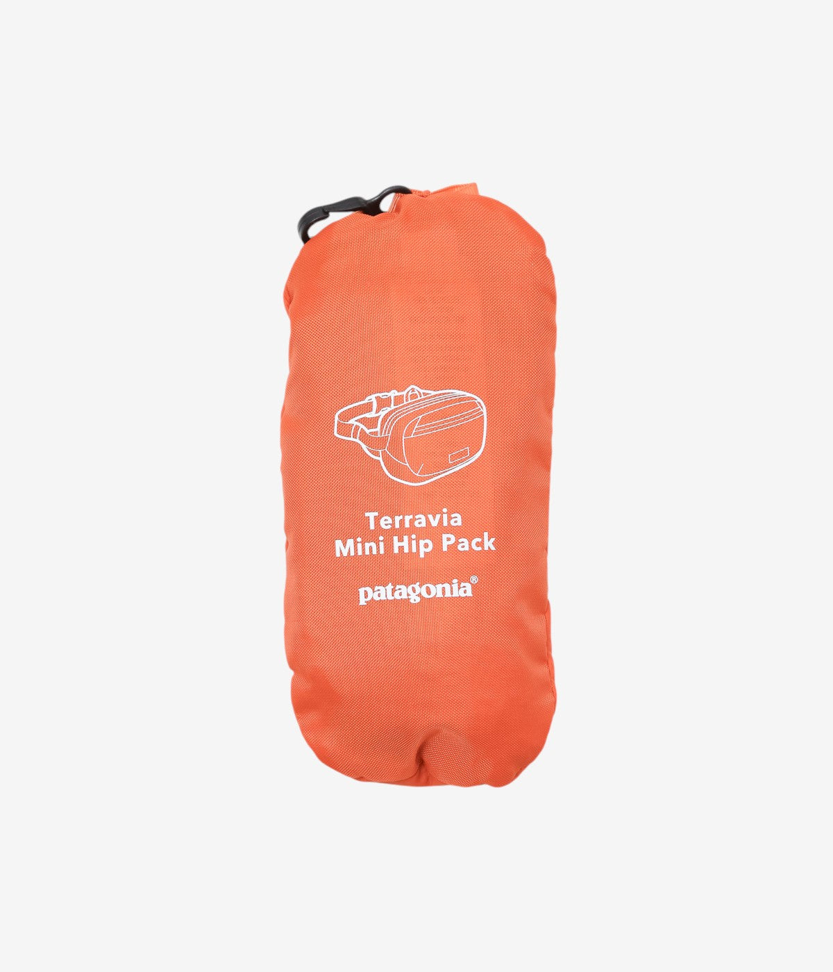 PATAGONIA ''TERRAVIA MINI HIP PACK'' (CLOR)
