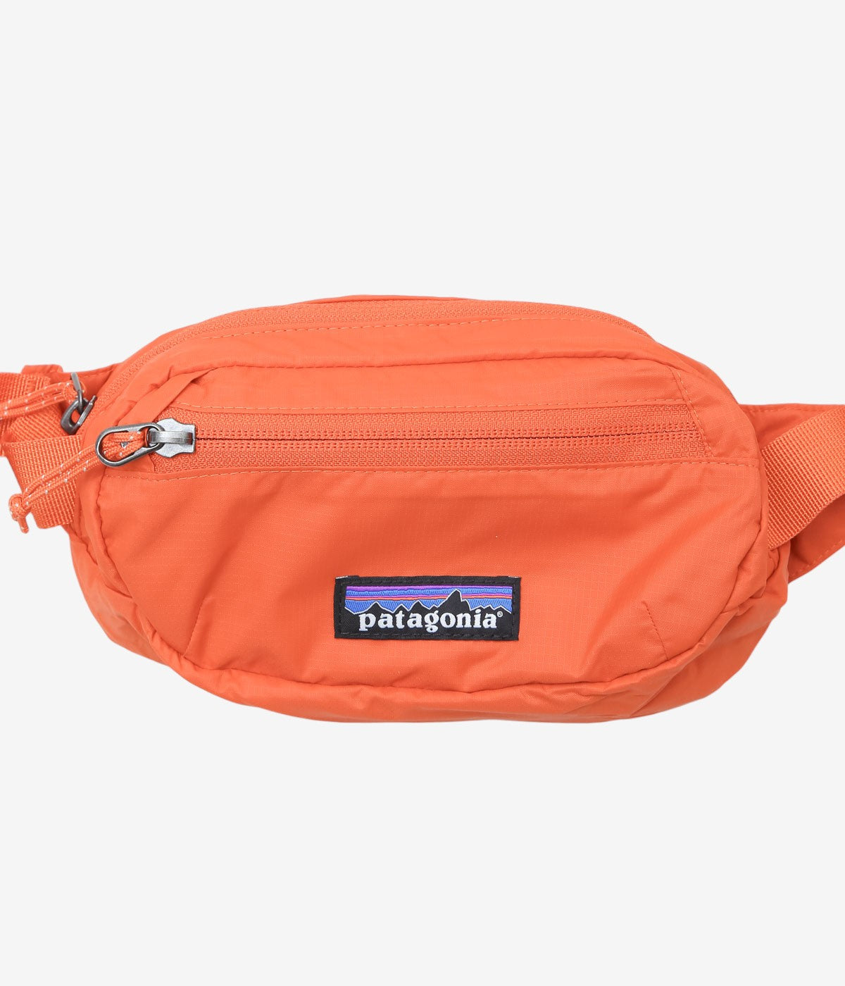 PATAGONIA ''TERRAVIA MINI HIP PACK'' (CLOR)