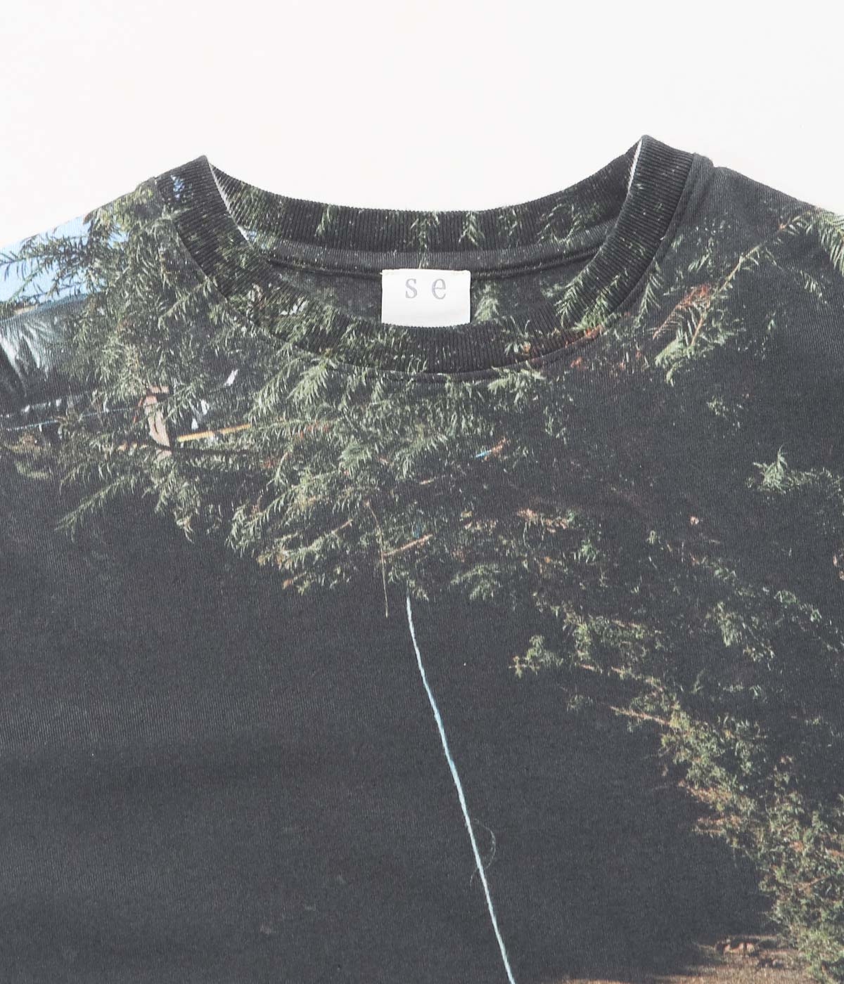 SEYA. ''25AW PRINTED T-SHIRT'' (COLOR PRINT WHITE)