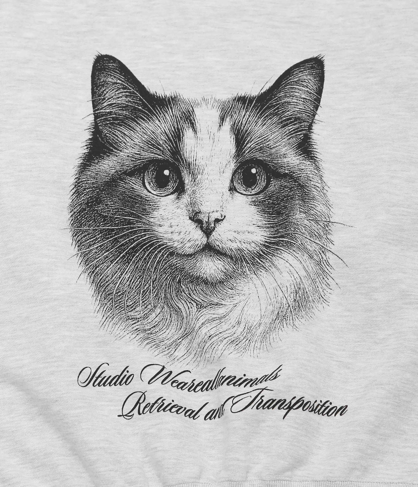 STUDIO ANIMALS ''“CAT” SWEATSHIRT'' (ASH)