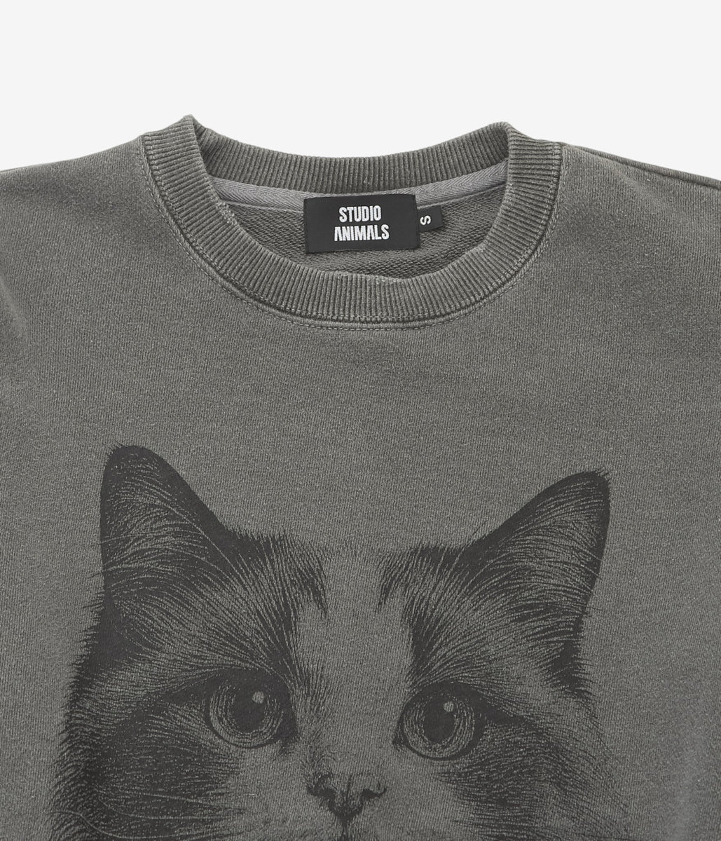 STUDIO ANIMALS ''"CAT" SWEATSHIRT'' (FADED BLACK)