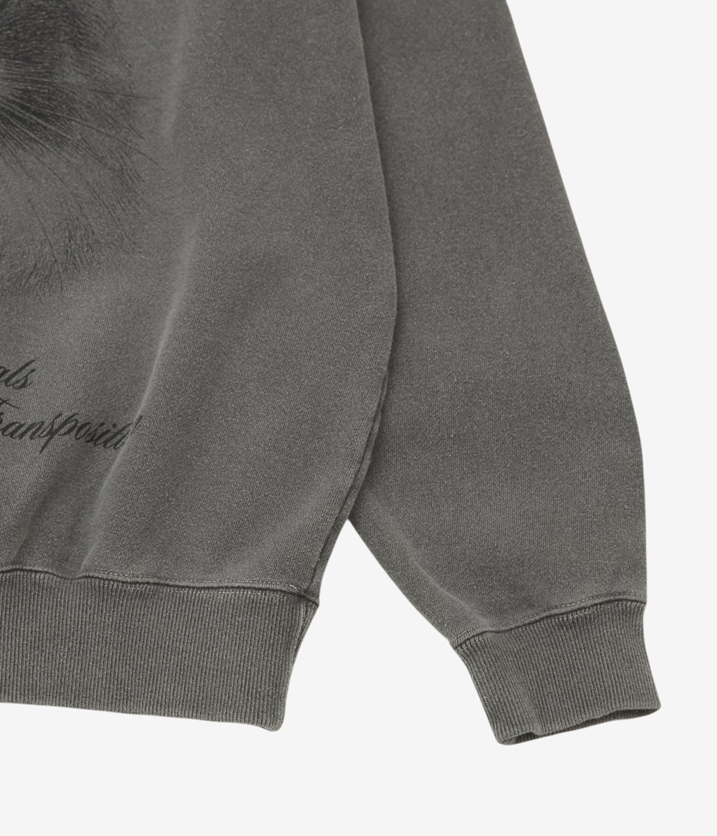STUDIO ANIMALS ''"CAT" SWEATSHIRT'' (FADED BLACK)