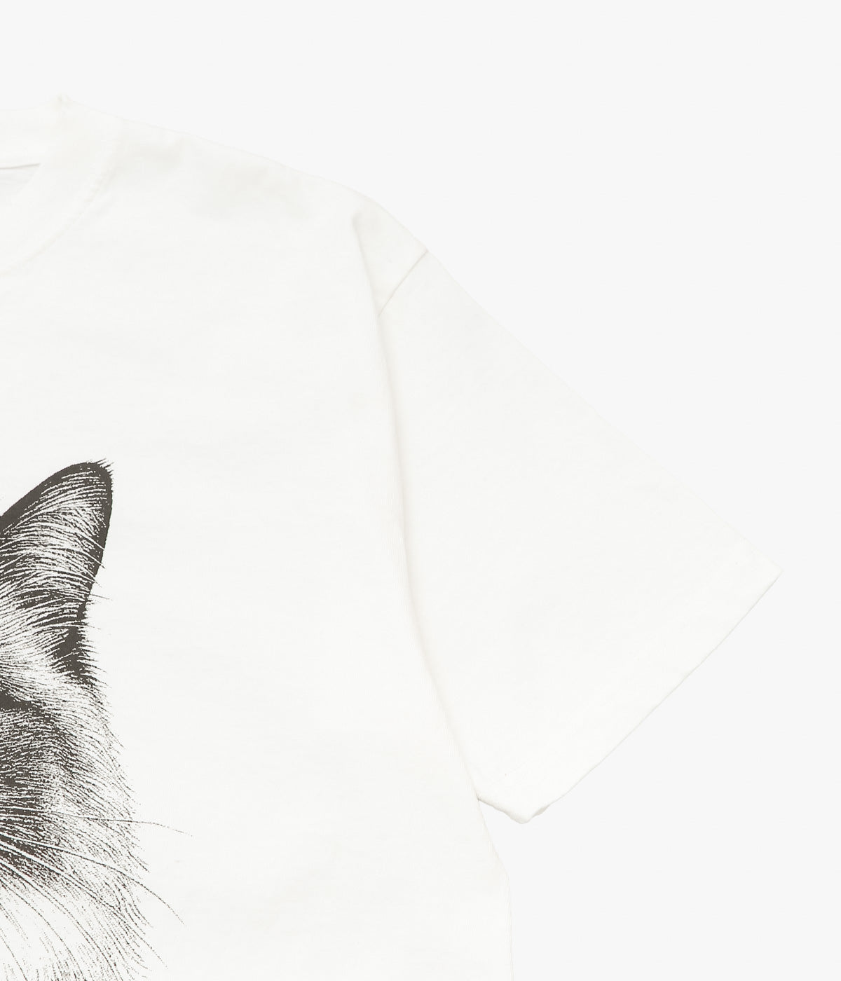 STUDIO ANIMALS ''“CAT” T-SHIRT'' (NATURAL)