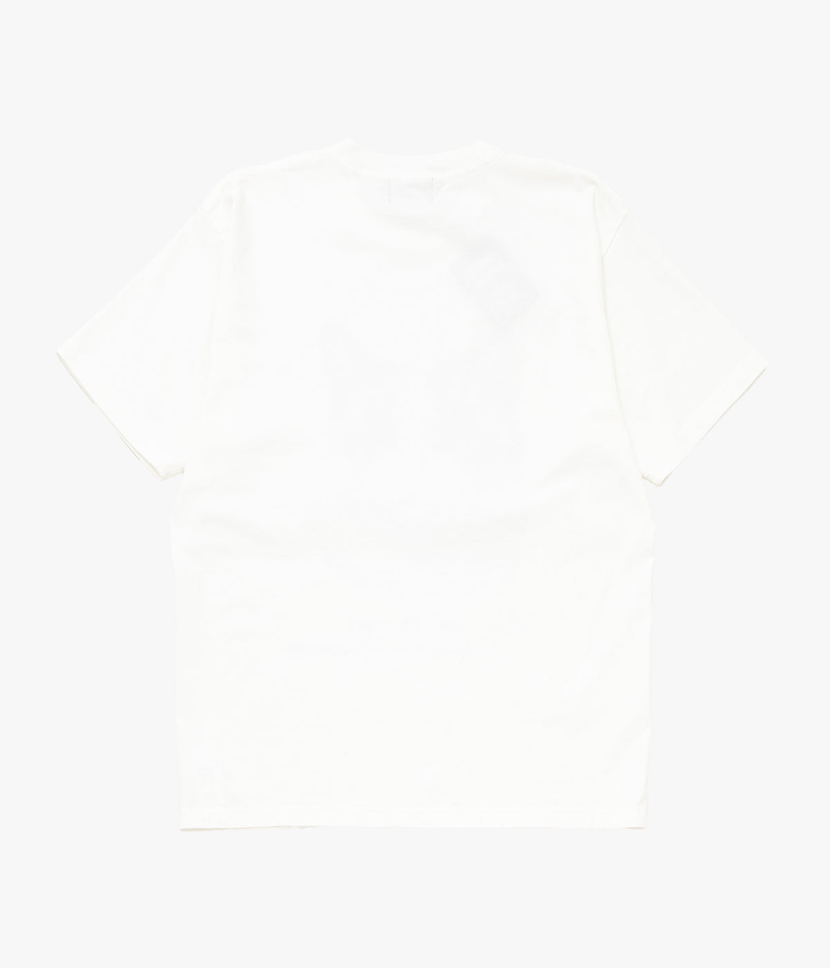 STUDIO ANIMALS ''“CAT” T-SHIRT'' (NATURAL)