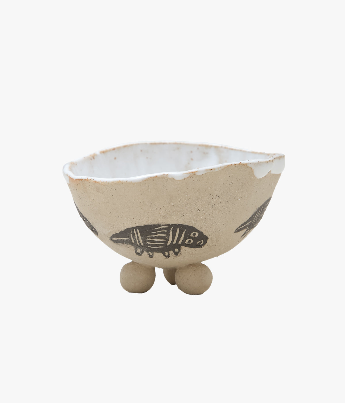 VERONICA KENDALL ''ANIMAL CUP'' (ASSO)