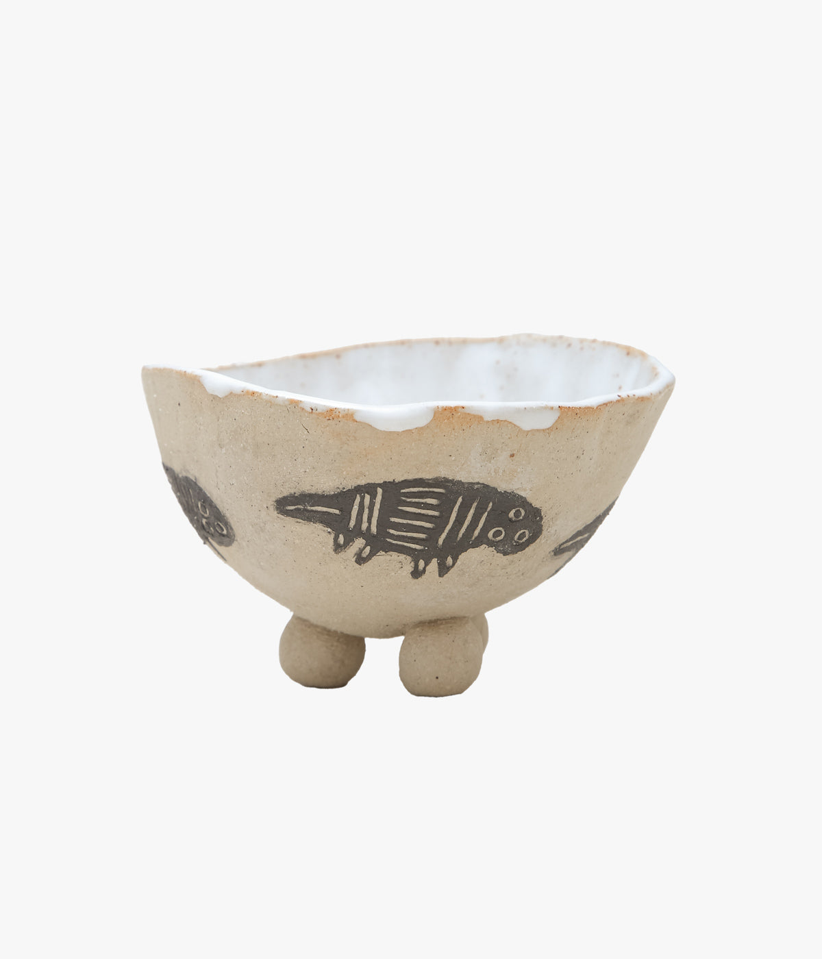 VERONICA KENDALL ''ANIMAL CUP'' (ASSO)