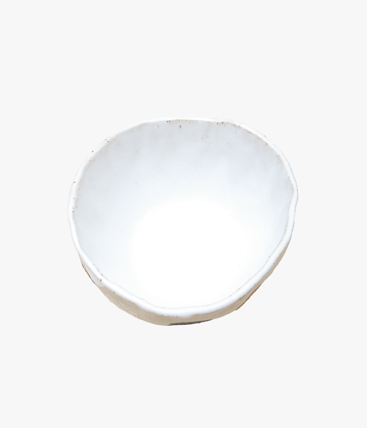 VERONICA KENDALL ''LARGE PALM CUP'' (ASSO)