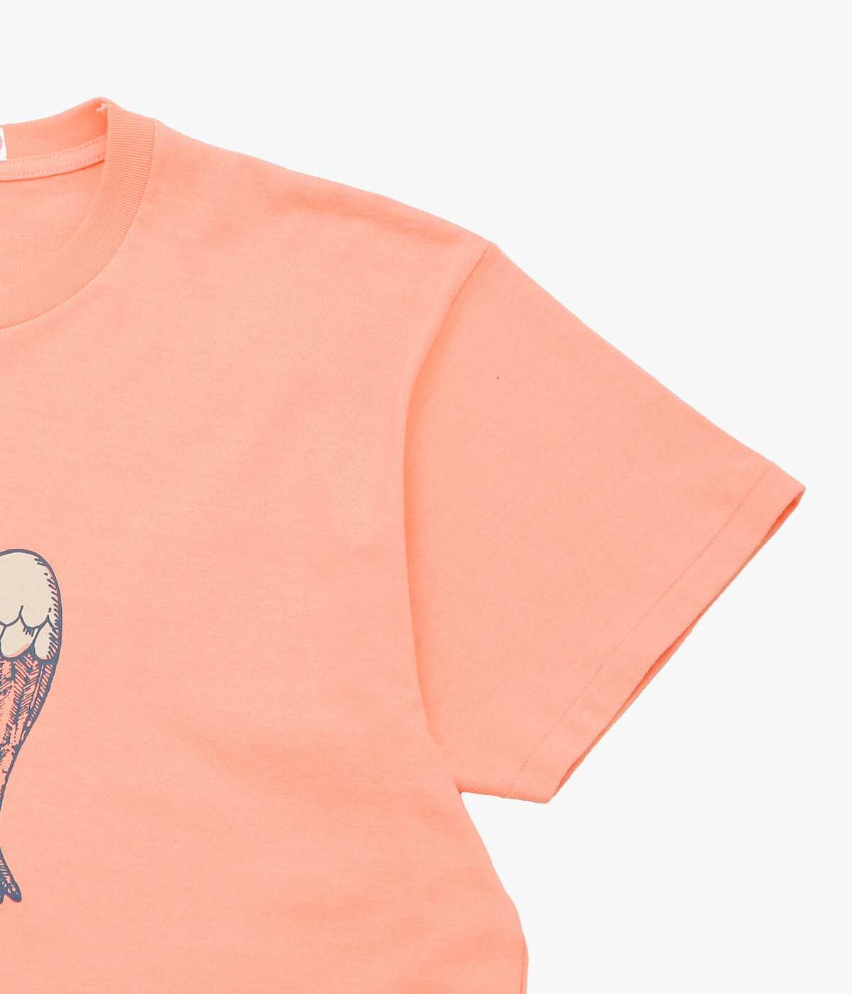 YOUNG&OLSEN THE DRYGOODS STORE ''AMERICAN PRINTED TEE'' (VTOR/HAWK)