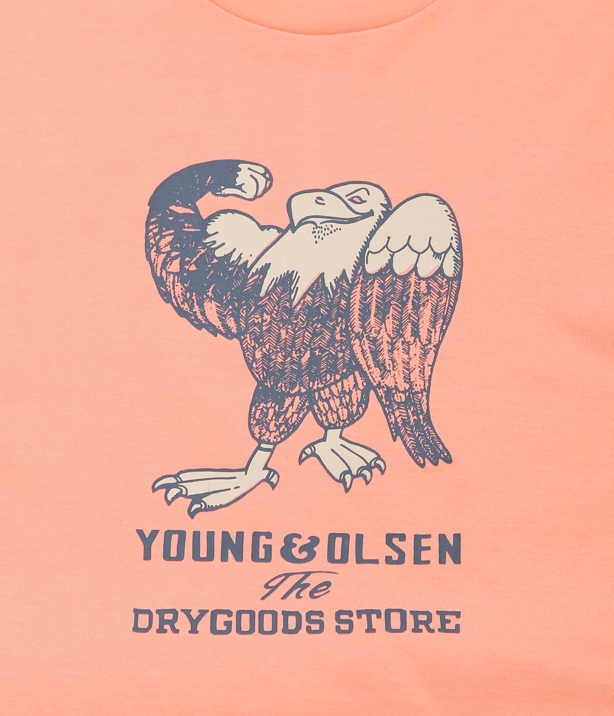 YOUNG&OLSEN THE DRYGOODS STORE ''AMERICAN PRINTED TEE'' (VTOR/HAWK)