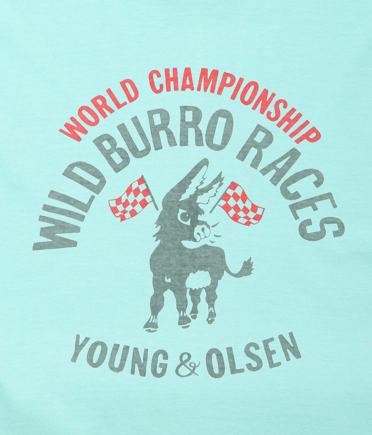 YOUNG&OLSEN THE DRYGOODS STORE ''AMERICAN PRINTED TEE'' (VYMT/DONKY)