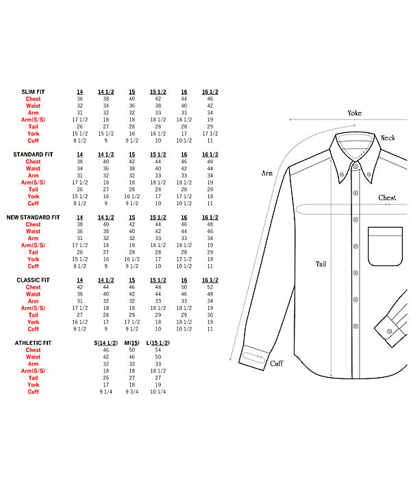 INDIVIDUALIZED SHIRTS "CAMBRIDGE OXFORD (STANDARD FIT BUTTON DOWN SHIRT) (LT GRAY)"